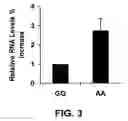 Fig. 04 - METHOD OF DETECTING OCULAR DISEASES AND PATHOLOGIC CONDITIONS AND TREATMENT OF SAME