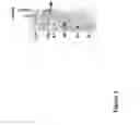 Fig. 02 - Transferrin receptor antibodies