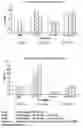Fig. 01 - Anti A beta antibody formulation