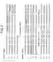 Fig. 03 - Anti A beta antibody formulation