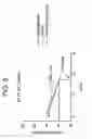 Fig. 07 - Anti A beta antibody formulation
