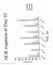 Fig. 08 - Method for treating an autoimmune disease using a soluble CTLA4 molecule and a DMARD or NSAID