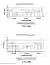 Fig. 103 - Method for treating an autoimmune disease using a soluble CTLA4 molecule and a DMARD or NSAID