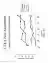 Fig. 27 - Method for treating an autoimmune disease using a soluble CTLA4 molecule and a DMARD or NSAID