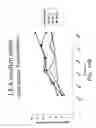 Fig. 33 - Method for treating an autoimmune disease using a soluble CTLA4 molecule and a DMARD or NSAID