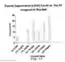 Fig. 37 - Method for treating an autoimmune disease using a soluble CTLA4 molecule and a DMARD or NSAID