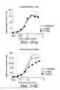 Fig. 47 - Method for treating an autoimmune disease using a soluble CTLA4 molecule and a DMARD or NSAID