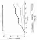 Fig. 56 - Method for treating an autoimmune disease using a soluble CTLA4 molecule and a DMARD or NSAID