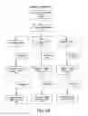 Fig. 87 - Method for treating an autoimmune disease using a soluble CTLA4 molecule and a DMARD or NSAID