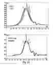 Fig. 17 - NOVEL ANTIBODY MOLECULES AND NUCLEIC ACIDS