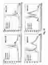 Fig. 19 - NOVEL ANTIBODY MOLECULES AND NUCLEIC ACIDS