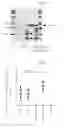 Fig. 02 - Protease-resistant modified SEB and vaccine containing the same