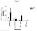 Fig. 06 - Adjuvant compounds