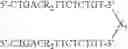 Fig. 40 - Modulation of immunostimulatory properties by small oligonucleotide-based compounds