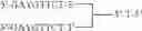 Fig. 79 - Modulation of immunostimulatory properties by small oligonucleotide-based compounds