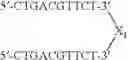 Fig. 82 - Modulation of immunostimulatory properties by small oligonucleotide-based compounds