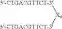 Fig. 85 - Modulation of immunostimulatory properties by small oligonucleotide-based compounds
