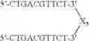Fig. 86 - Modulation of immunostimulatory properties by small oligonucleotide-based compounds