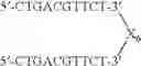 Fig. 87 - Modulation of immunostimulatory properties by small oligonucleotide-based compounds