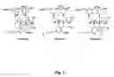 Fig. 02 - Combination therapy comprising the use of protein kinase C modulators and Histone Deacetylase inhibitors for treating HIV-1 latency
