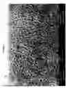 Fig. 03 - Scaffold comprising co-precipitated Collgen and glycosaminoglycan for inhibiting adhesion of body tissue layers