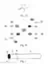 Fig. 02 - Compositions, articles and methods for preventing or reducing tobacco-associated damage