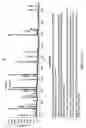 Fig. 30 - Individualized cancer therapy