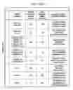 Fig. 49 - Individualized cancer therapy