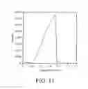 Fig. 09 - Eutectic-based self-nanoemulsified drug delivery system