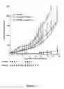 Fig. 02 - Herbal composition PHY906 and its use in chemotherapy
