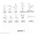 Fig. 02 - SOLID POLYMERIC MATERIALS FOR DETECTION, TRANSFER, AMPLIFICATION AND MEMORY OF CHIRALITY OF OPTICALLY ACTIVE COMPOUNDS