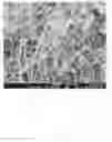 Fig. 03 - Catalyst composition for preparing carbon nanotube