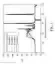 Fig. 02 - Inter-penetrated proton exchange membrane, method for manufacturing the same, and proton exchange membrane fuel cell utilizing the same