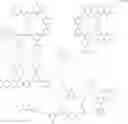 Fig. 16 - Hyper-branched polymer, electrode including the polymer, electrolyte membrane including the polymer, and fuel cell including the electrode and/or the electrolyte membrane