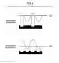 Fig. 07 - Resist composition for negative tone development and pattern forming method using the same