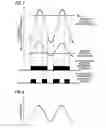 Fig. 08 - Resist composition for negative tone development and pattern forming method using the same