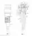 Fig. 03 - IMPRESSION DEVICE WITH IMPRESSION-TAKING CAP FOR DENTAL PROSTHESIS