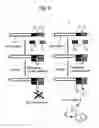 Fig. 07 - SEQUENCE ANALYSIS METHOD
