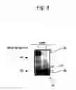 Fig. 10 - SEQUENCE ANALYSIS METHOD