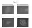Fig. 08 - Pluripotent cell lines and methods of use thereof