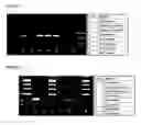 Fig. 09 - Methods and compositions related to continuous flow thermal gradient PCR