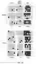 Fig. 08 - Artificial three-dimensional microenvironment niche culture
