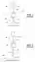 Fig. 02 - Method and device for immunoassay using nucleotide conjugates