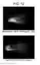 Fig. 13 - NOVEL PROTEIN EXPRESSION SYSTEM