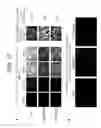 Fig. 18 - NOVEL PROTEIN EXPRESSION SYSTEM