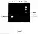 Fig. 06 - Method of producing biologically active polypeptide having insulinotropic activity