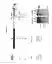 Fig. 09 - Infectious clones