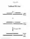 Fig. 45 - RNase H-based assays utilizing modified RNA monomers