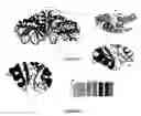 Fig. 02 - OBLIGATE HETERODIMER MEGANUCLEASES AND USES THEREOF
