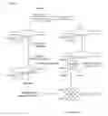 Fig. 02 - Compositions and processes for improved plasmid DNA production